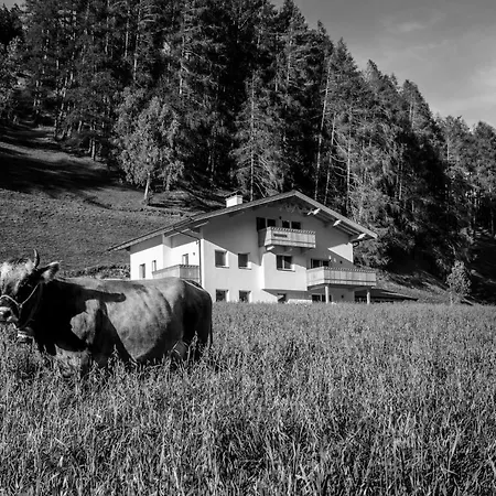 Farma Nagelehof Blaser Navis