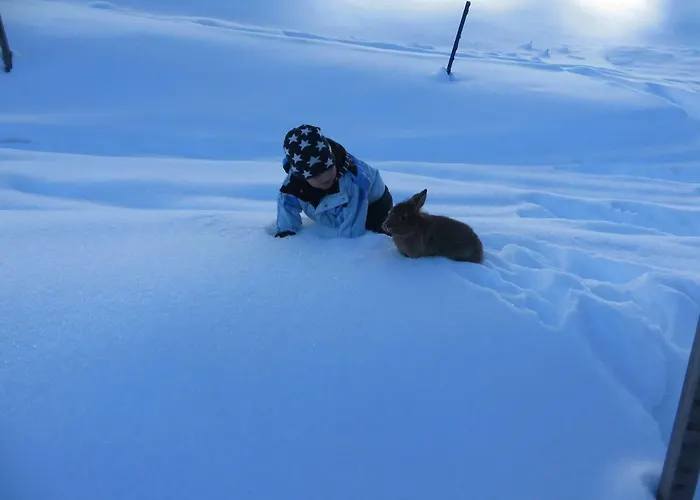 Nagelehof Blaser مزرعة للإقامة