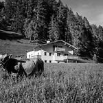 Bauernhof Nagelehof Blaser Navis