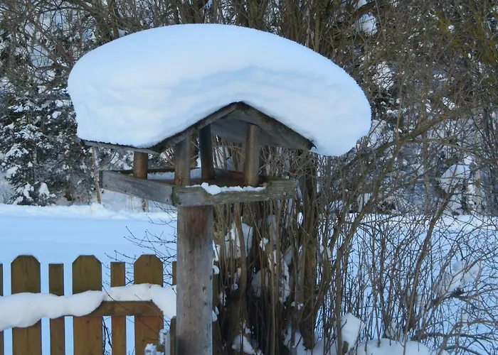 Nagelehof Blaser Navis