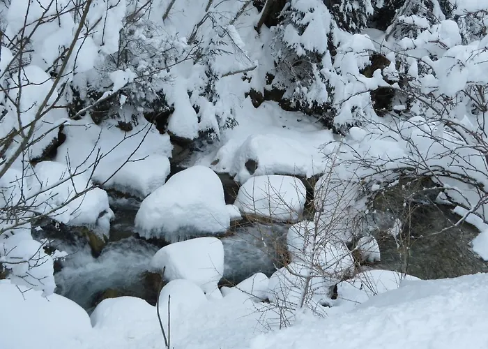 팜스테이 Nagelehof Blaser *