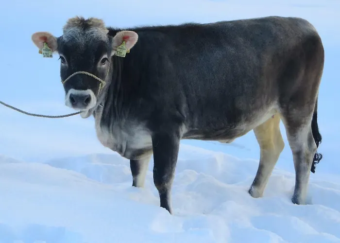 Nagelehof Blaser Vakantieboerderij