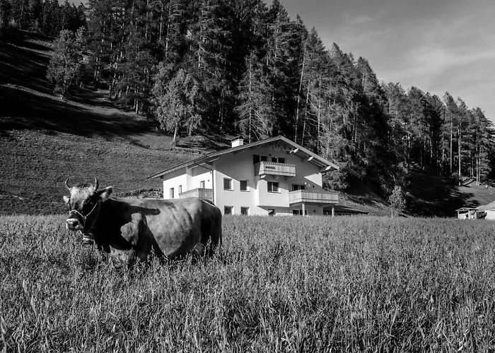 Vakantieboerderij Nagelehof Blaser Navis